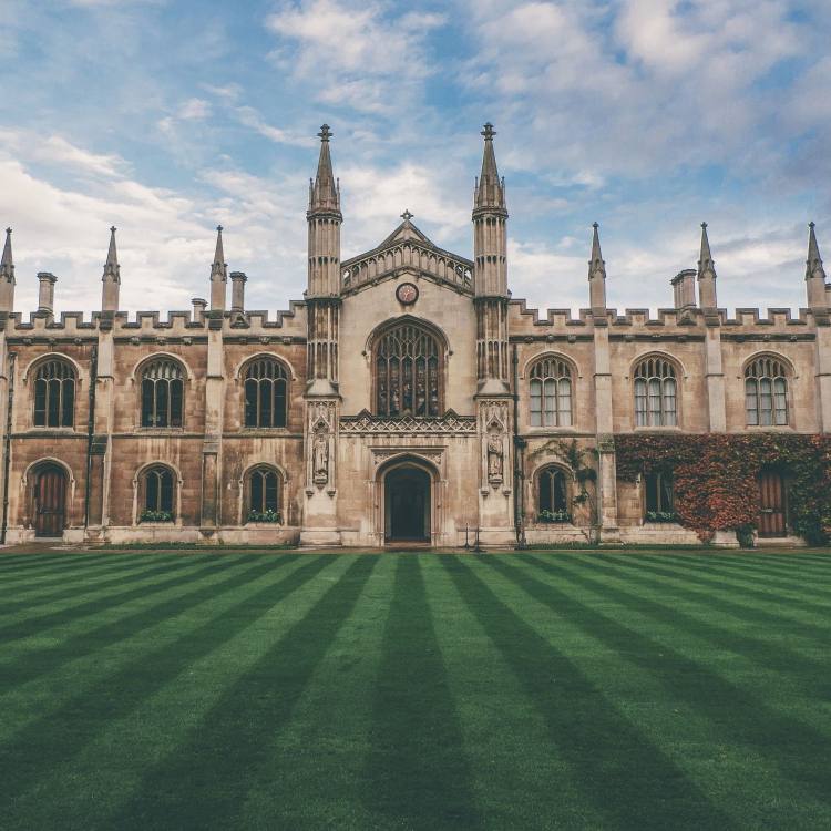 university