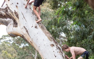 Erdkinder, la educación que buscas para tus adolescentes.
