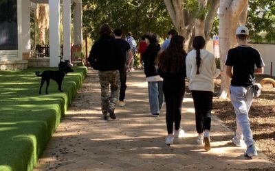 Día Internacional contra el Acoso Escolar