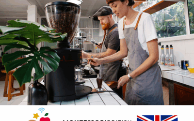 Work Experience in Northern Ireland